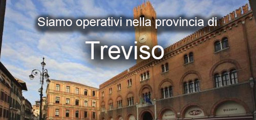 Seo Treviso