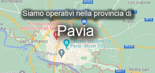 seo Pavia